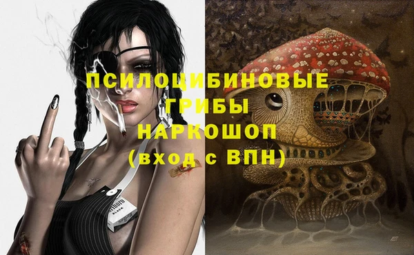 2c-b Гусиноозёрск