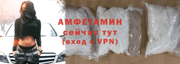 крисы Гусев