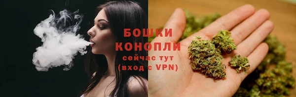 мяу мяу мука Дмитров