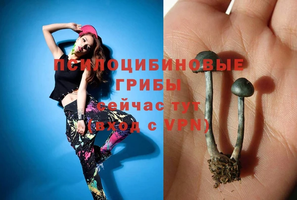 трава Дмитровск